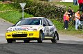 County_Monaghan_Motor_Club_Hillgrove_Hotel_stages_rally_2011_Stage4 (29)